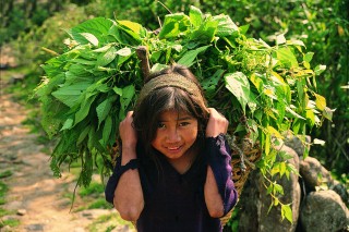 Bambina a Kathmandu, Nepal 