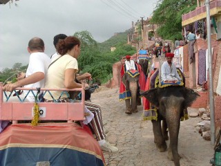 Escursione sul elefante al forte amber - Jaipur, India