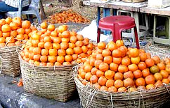 Informazioni Nagpur in India