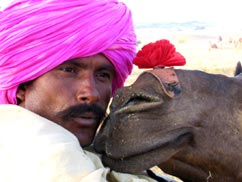 i viaggi in Nord India e Rajasthan