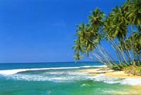 Offerta Viaggio in Kerala - Kovalam