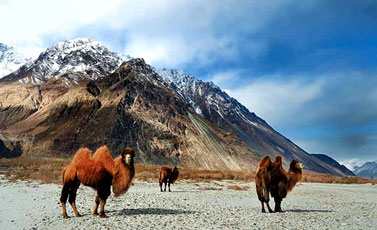 Viaggio Punjab e Leh Ladakh